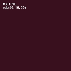 #38101E - Tamarind Color Image