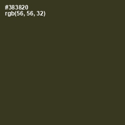 #383820 - Birch Color Image