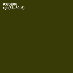 #383B06 - Waiouru Color Image