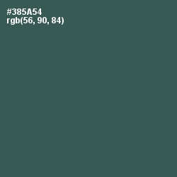 #385A54 - Mineral Green Color Image