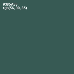 #385A55 - Mineral Green Color Image