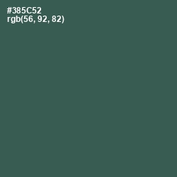 #385C52 - Mineral Green Color Image