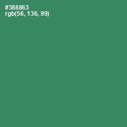 #388863 - Sea Green Color Image
