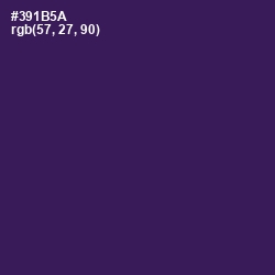 #391B5A - Grape Color Image