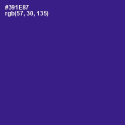 #391E87 - Blue Gem Color Image