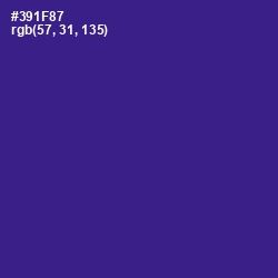 #391F87 - Blue Gem Color Image