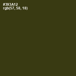 #393A12 - Camouflage Color Image