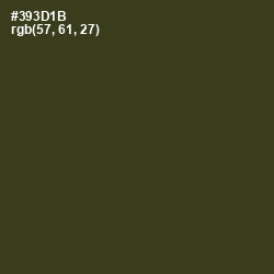 #393D1B - Camouflage Color Image