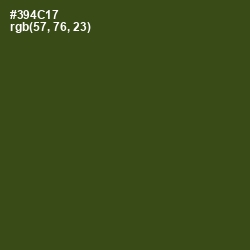 #394C17 - Clover Color Image