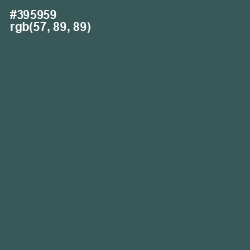#395959 - Mineral Green Color Image