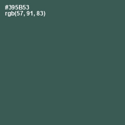 #395B53 - Mineral Green Color Image