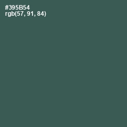 #395B54 - Mineral Green Color Image