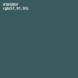 #395B5F - Mineral Green Color Image