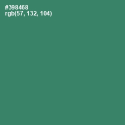 #398468 - Sea Green Color Image