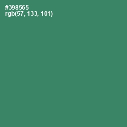 #398565 - Sea Green Color Image