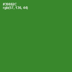 #39882C - Forest Green Color Image