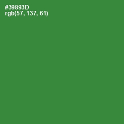 #39893D - Forest Green Color Image