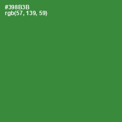 #398B3B - Forest Green Color Image