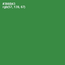 #398B43 - Sea Green Color Image