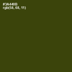 #3A440B - Clover Color Image