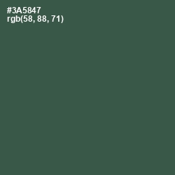 #3A5847 - Mineral Green Color Image