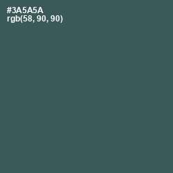 #3A5A5A - Mineral Green Color Image