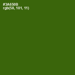 #3A650B - Dell Color Image