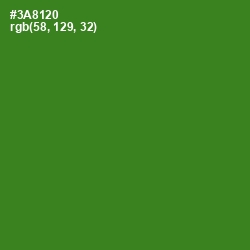 #3A8120 - Forest Green Color Image
