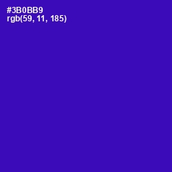 #3B0BB9 - Blue Gem Color Image
