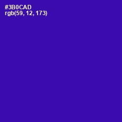 #3B0CAD - Blue Gem Color Image