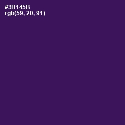 #3B145B - Grape Color Image