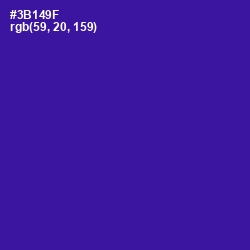 #3B149F - Blue Gem Color Image