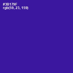 #3B179F - Blue Gem Color Image