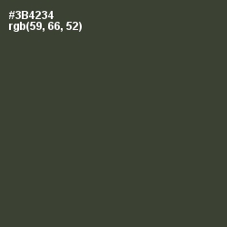 #3B4234 - Lunar Green Color Image