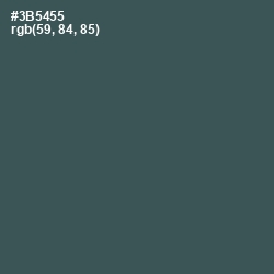 #3B5455 - Mineral Green Color Image