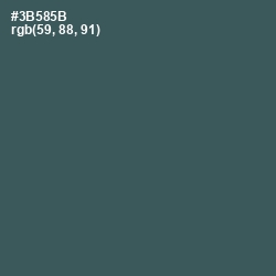 #3B585B - Mineral Green Color Image
