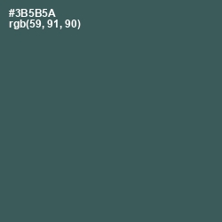 #3B5B5A - Mineral Green Color Image