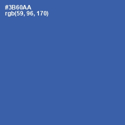 #3B60AA - Astral Color Image