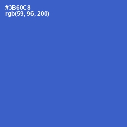 #3B60C8 - Mariner Color Image