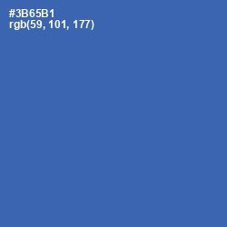 #3B65B1 - Astral Color Image