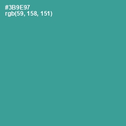 #3B9E97 - Lochinvar Color Image