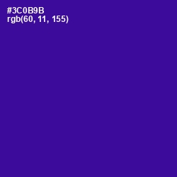 #3C0B9B - Blue Gem Color Image