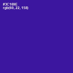 #3C169E - Blue Gem Color Image