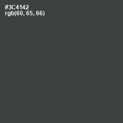 #3C4142 - Cape Cod Color Image