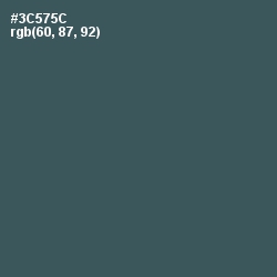 #3C575C - Mineral Green Color Image