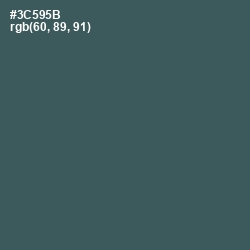 #3C595B - Mineral Green Color Image