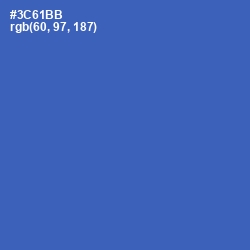 #3C61BB - Astral Color Image