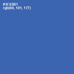 #3C65B1 - Astral Color Image