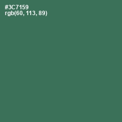 #3C7159 - Amazon Color Image