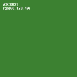 #3C8031 - Forest Green Color Image